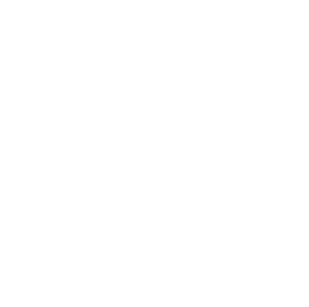 Ozark Eye logo