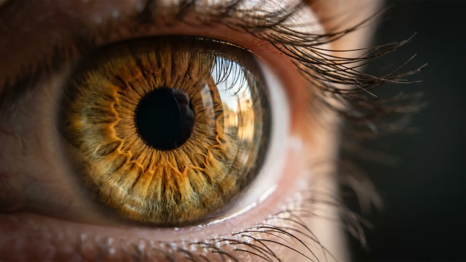 Is this an eye emergency? How to know